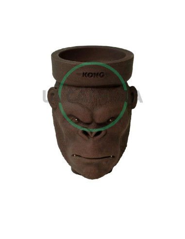 Kong King Kong