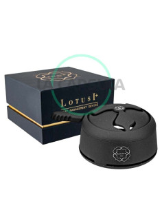 Kaloud Lotus 1+ Black