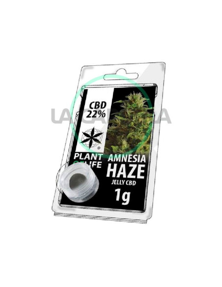 Jelly 22% CBD 1gr