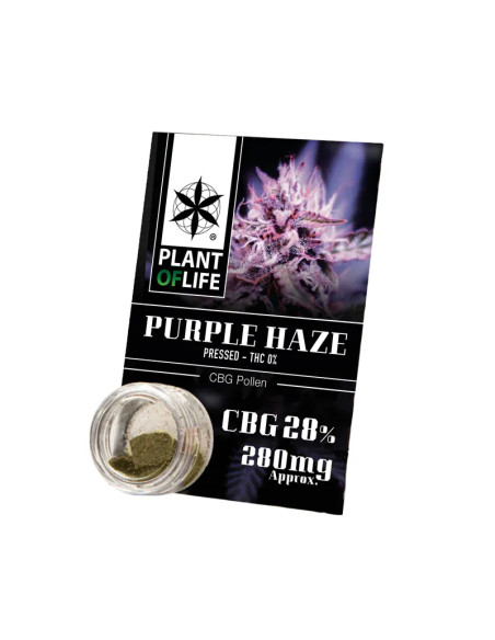 Pollen CBG 28% 1gr