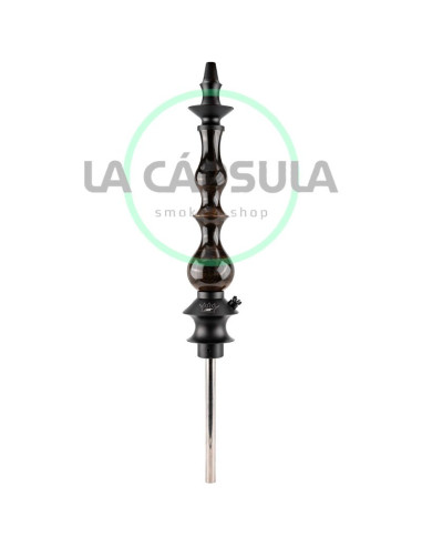 Regal Queen Black