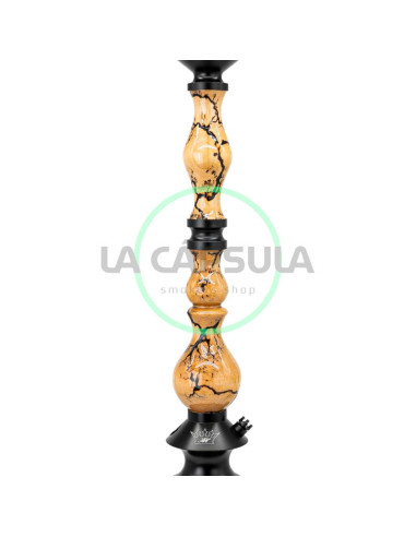Regal King Art Zeus
