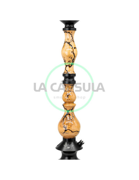 Regal King Art Zeus