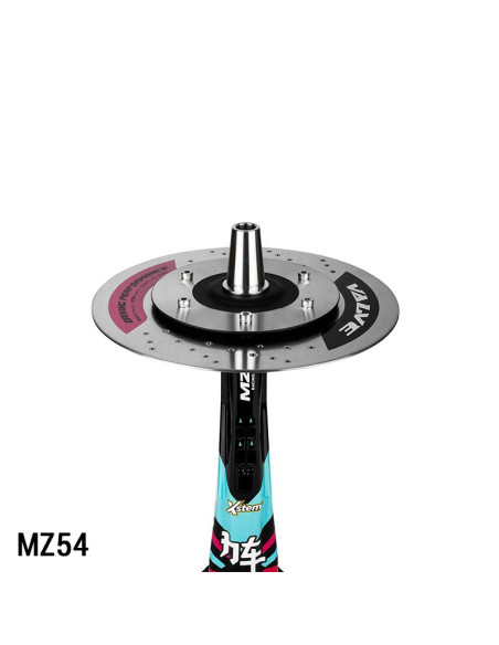 Amotion Valve