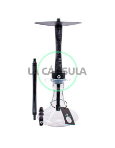 Chameleon Crazy Series