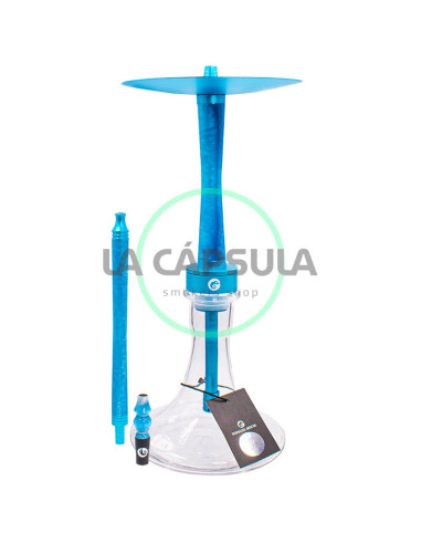 Chameleon Crazy Series