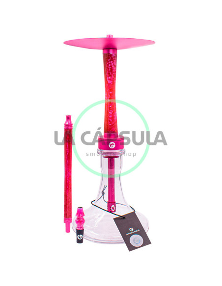 Chameleon Crazy Series