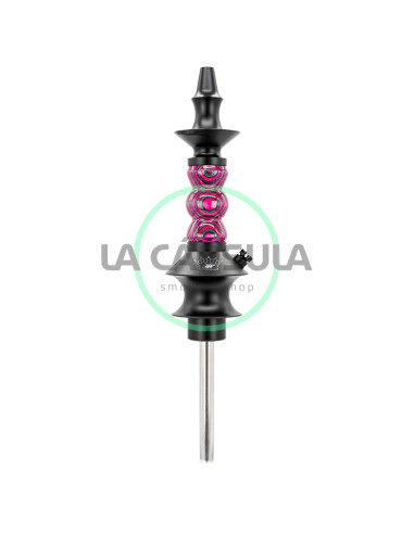 Regal Mini Prince Eye D.W. Pink Lady
