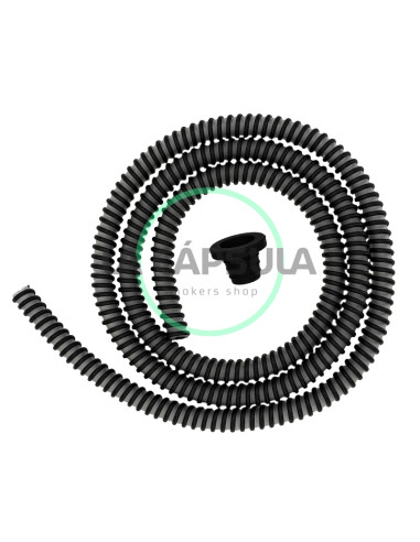 The Legend Finest Hose Completa