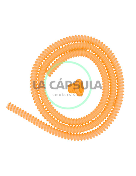 The Legend Finest Hose Completa