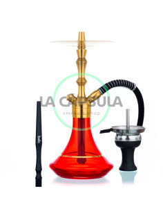 Aladin MVP 360 Gold Edition 2
