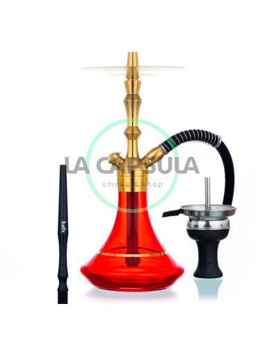 Aladin MVP 360 Gold Edition